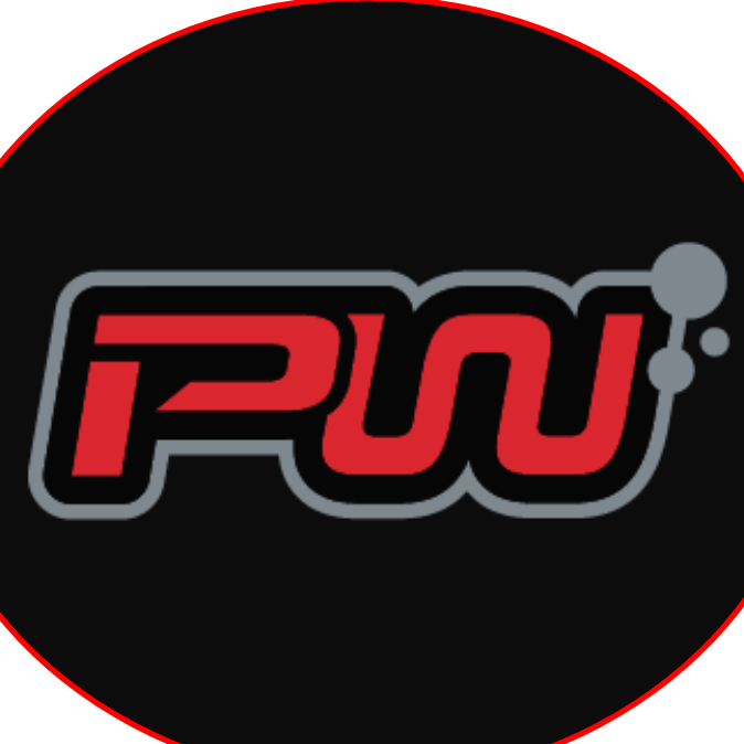 Pee Wee's Auto Detail logo